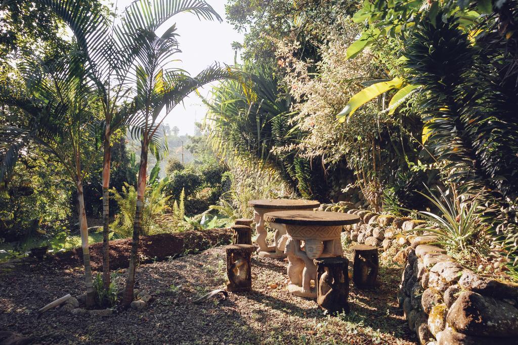 Spanish By The River - Turrialba Exterior photo